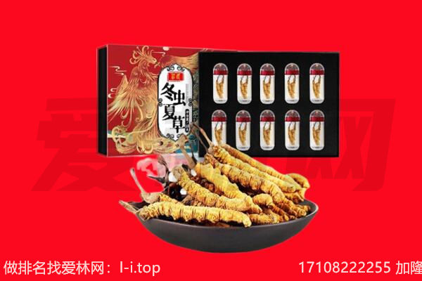 韶关市回收虫草.jpg